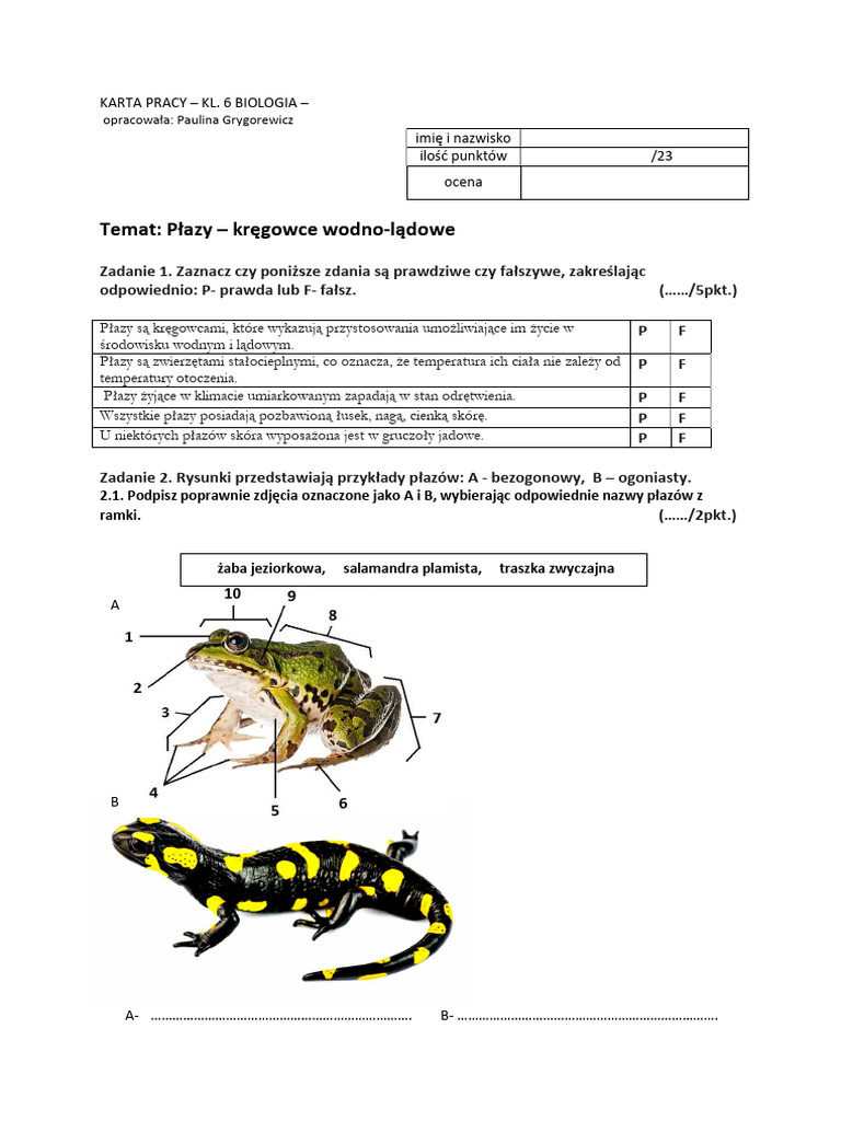 Płazy Klasa 6 | PDF