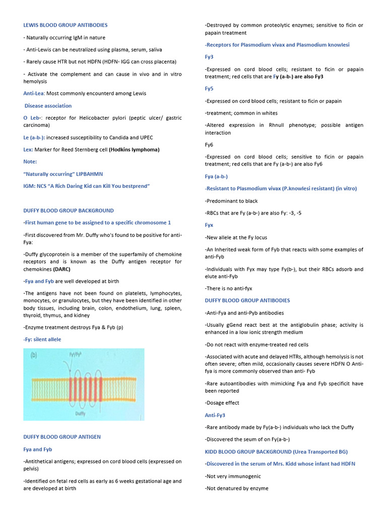 Lewis Blood Group Antibodies Overview | PDF | Blood Type | Immune System