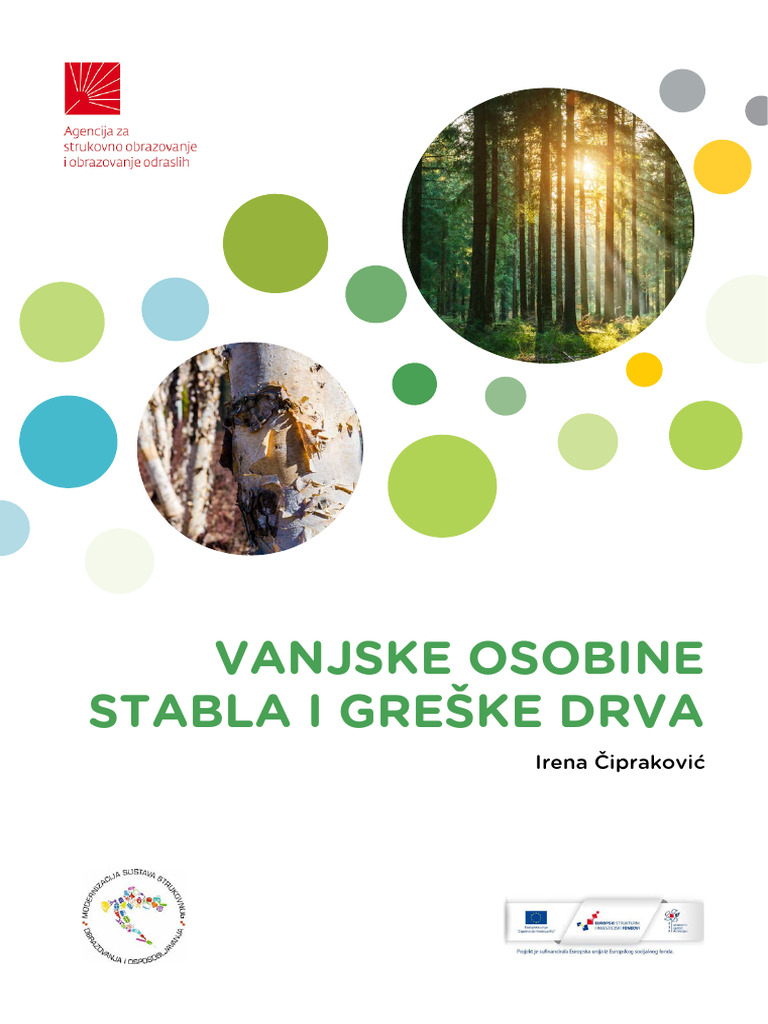 G4 01 Vanjske Osobine Stabla Finalno | PDF