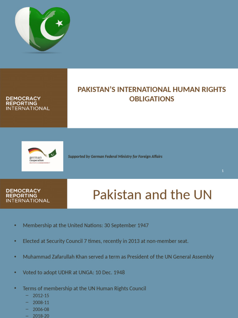 Pakistan's Human Rights Commitments | PDF | Justice | Crime & Violence