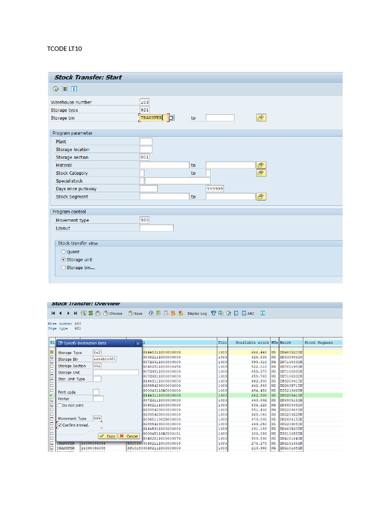 Tcode LT10 | PDF