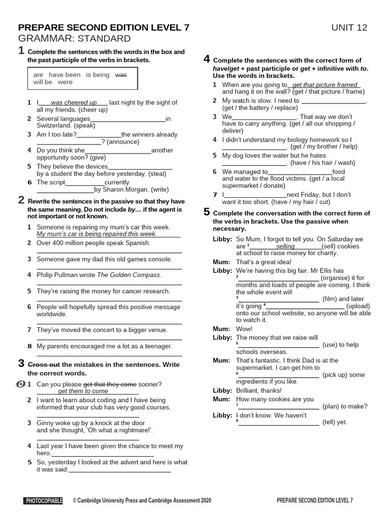 Level 7 Grammar Exercises and Answers | PDF | Syntax | Linguistic ...