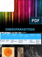 Enteroparasitosis