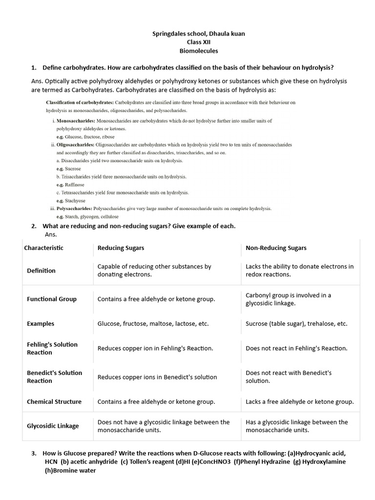 Biomolecules: Carbohydrates and Proteins | PDF | Nucleotides | Rna