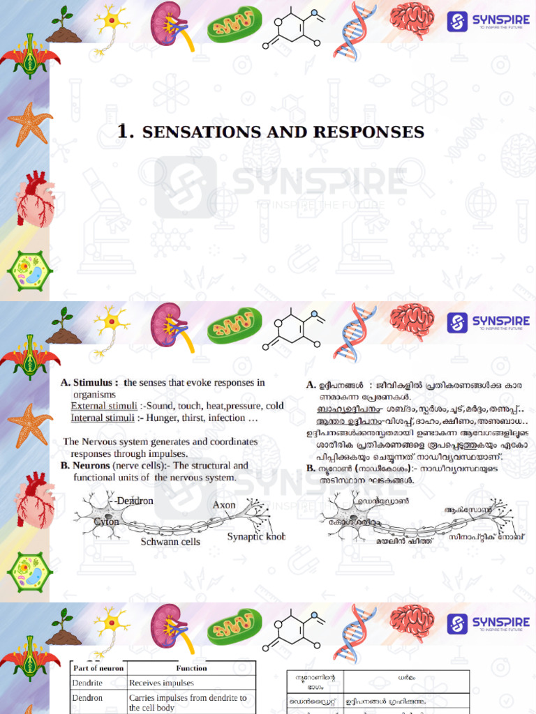 Copy of Untitled Design-Compressed | PDF