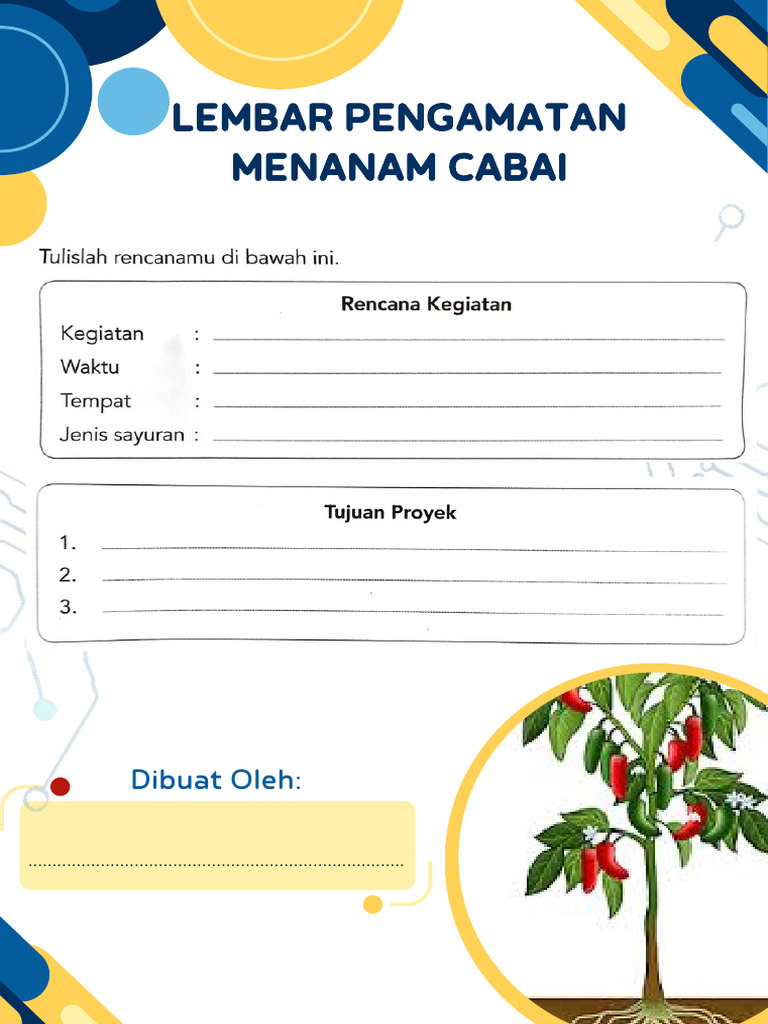 Tabel Pengamatan Tanaman Cabai | PDF