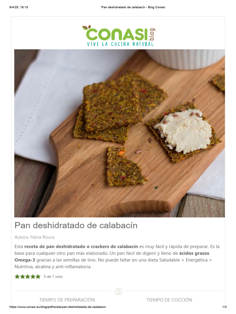 Pan Deshidratado de Calabacín - Blog Conasi | PDF | Panes | Alimentos