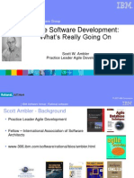 Agile Software Development: What's Really Going On