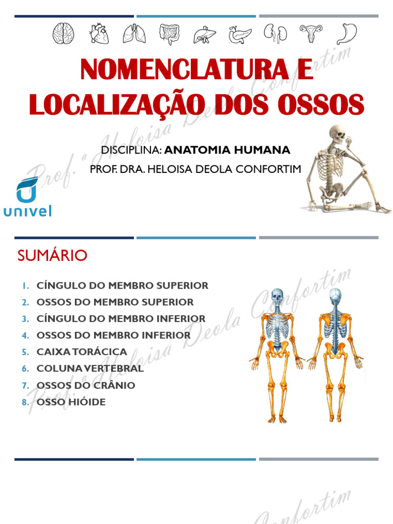 3-NOMENCLATURA+E+LOCALIZAÇÃO+DOS+OSSOS+-+alunos | PDF | Vértebra ...