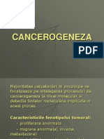 Cancerogeneza - 2008