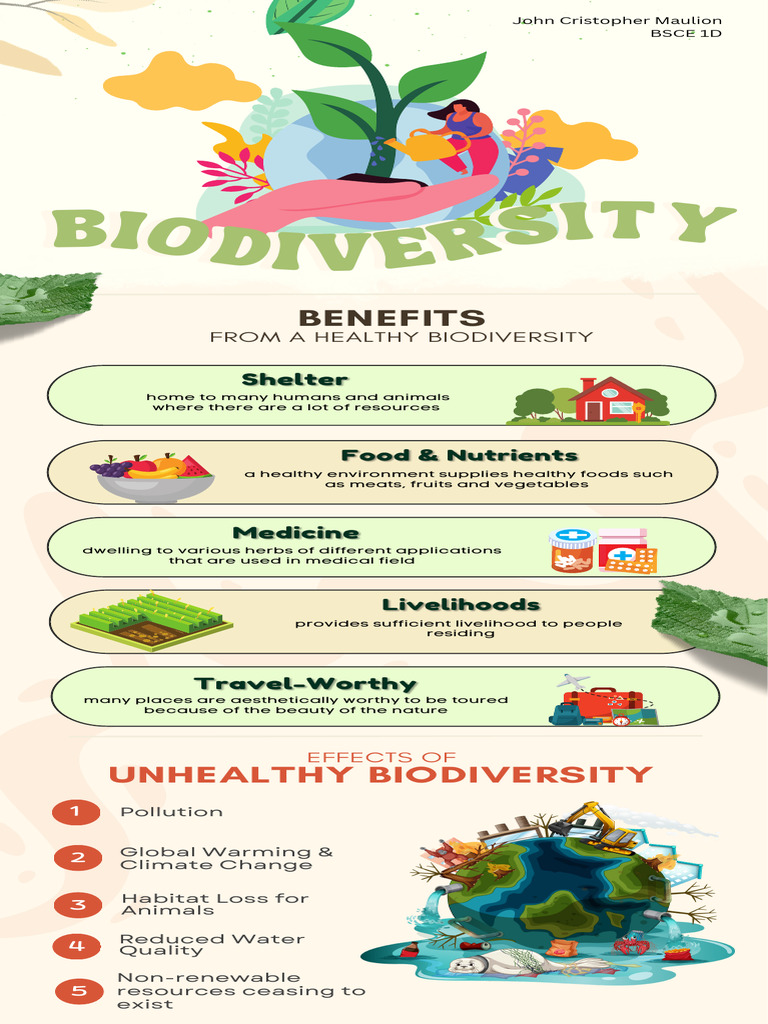 Benefits and Effects of Biodiversity | PDF