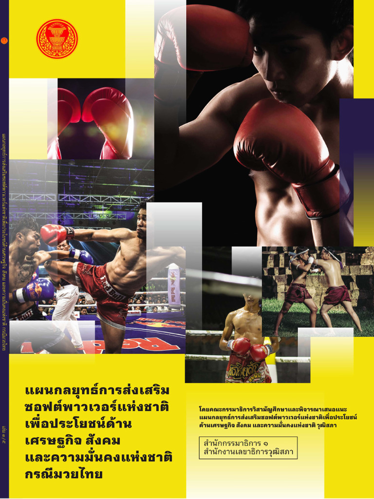 SoftPowerPlan Boxing | PDF