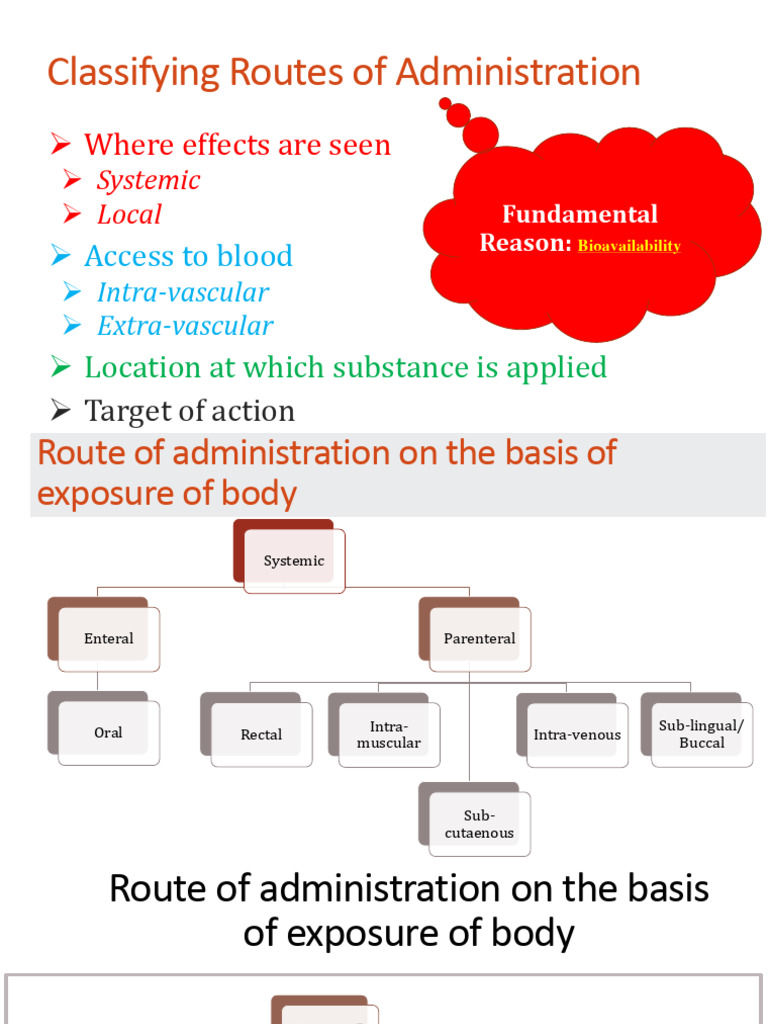 Routes of Drug Administration Overview | PDF | Bioavailability ...