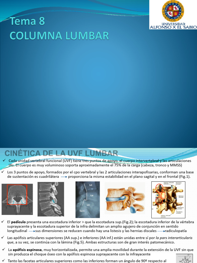 Tema 8 Lumbar Revisado | PDF | La columna vertebral | Pelvis