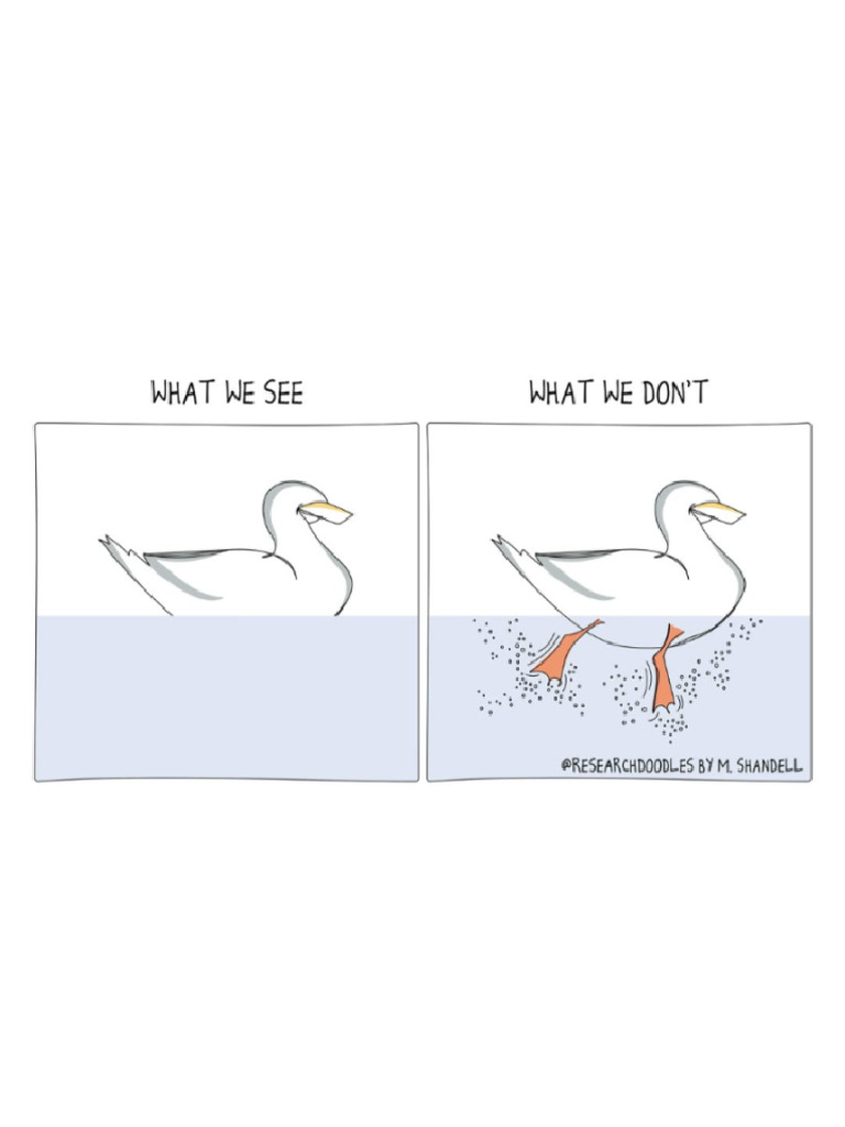 8 Visuals That Will Change How You Think 1734227518 PDF