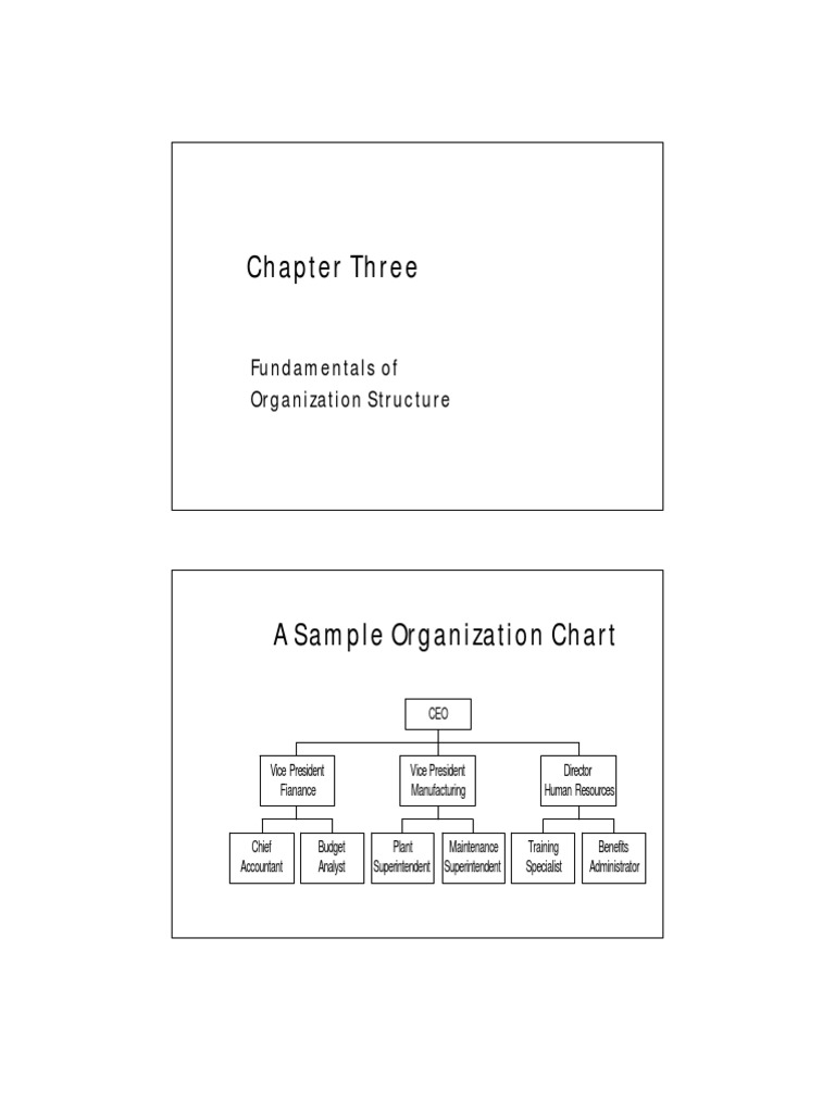 Organization Structure | PDF