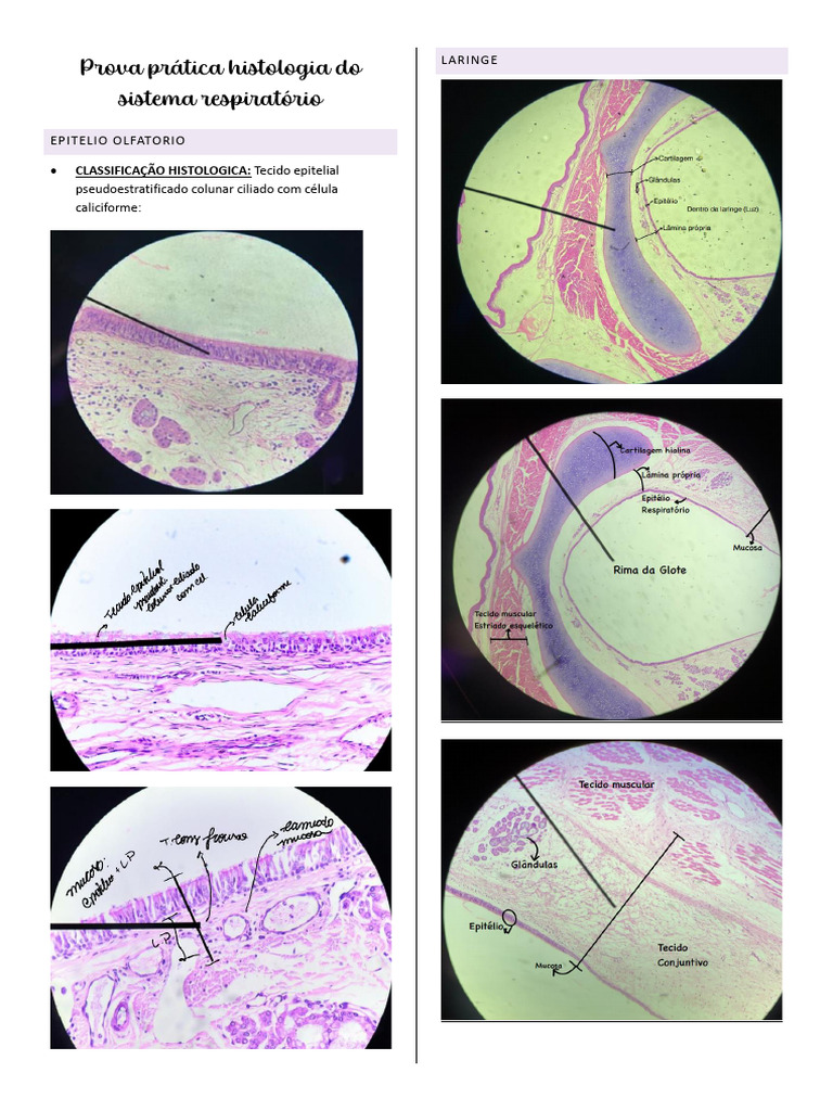 Lecture Piano CE1 - Cahier main image 1