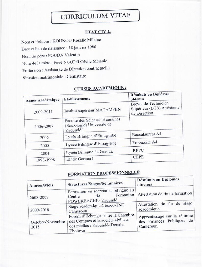 CV Kounou Rosalie 2 | PDF