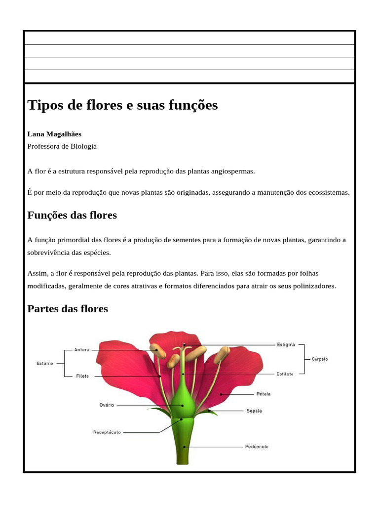 Funções e Estruturas das Flores | PDF | Flores | Polinização