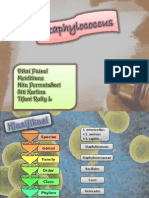 STAPYLOCOCCUS (Kel2)