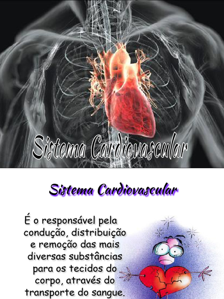 Entenda o Sistema Cardiovascular | PDF | Sangue | Coração