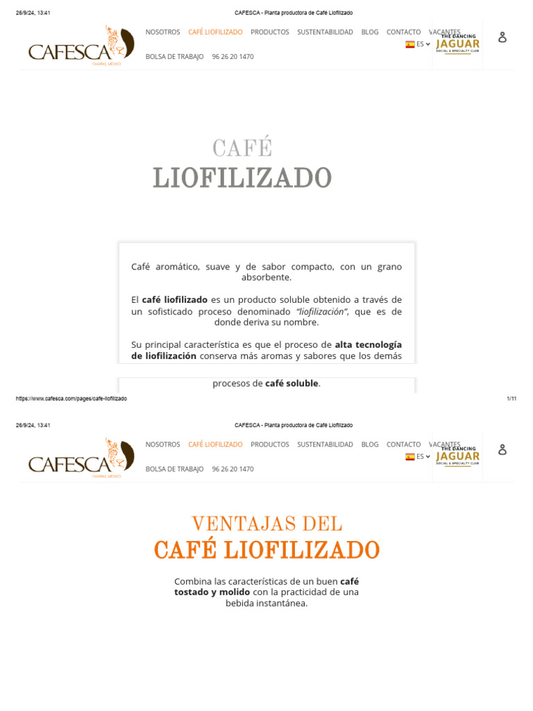 Proceso de Café Liofilizado en CAFESCA | PDF | café | Agua