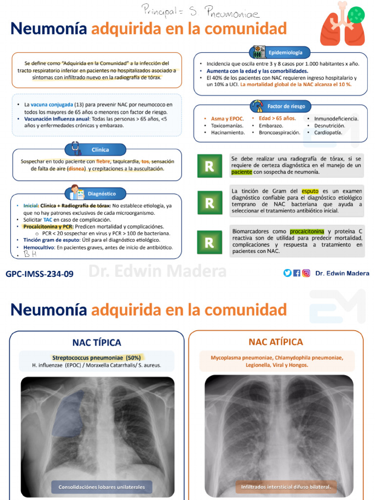 NAC Adultos 3 | PDF