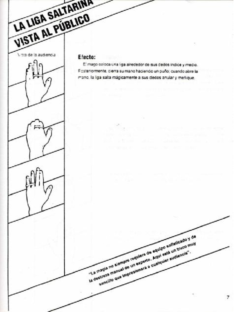 Magic Project | PDF