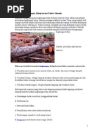 Download Kerusakan hutan by Jordan Alvin SN84820283 doc pdf