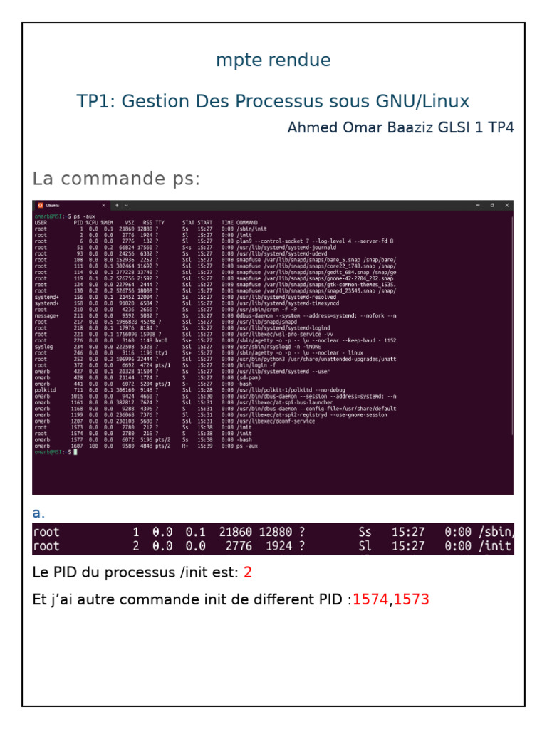 Gestion des processus sous Linux | PDF