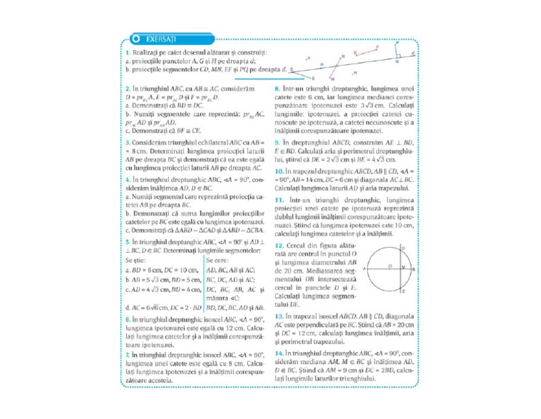 Exercitii Proiectii Clasa A Saptea | PDF