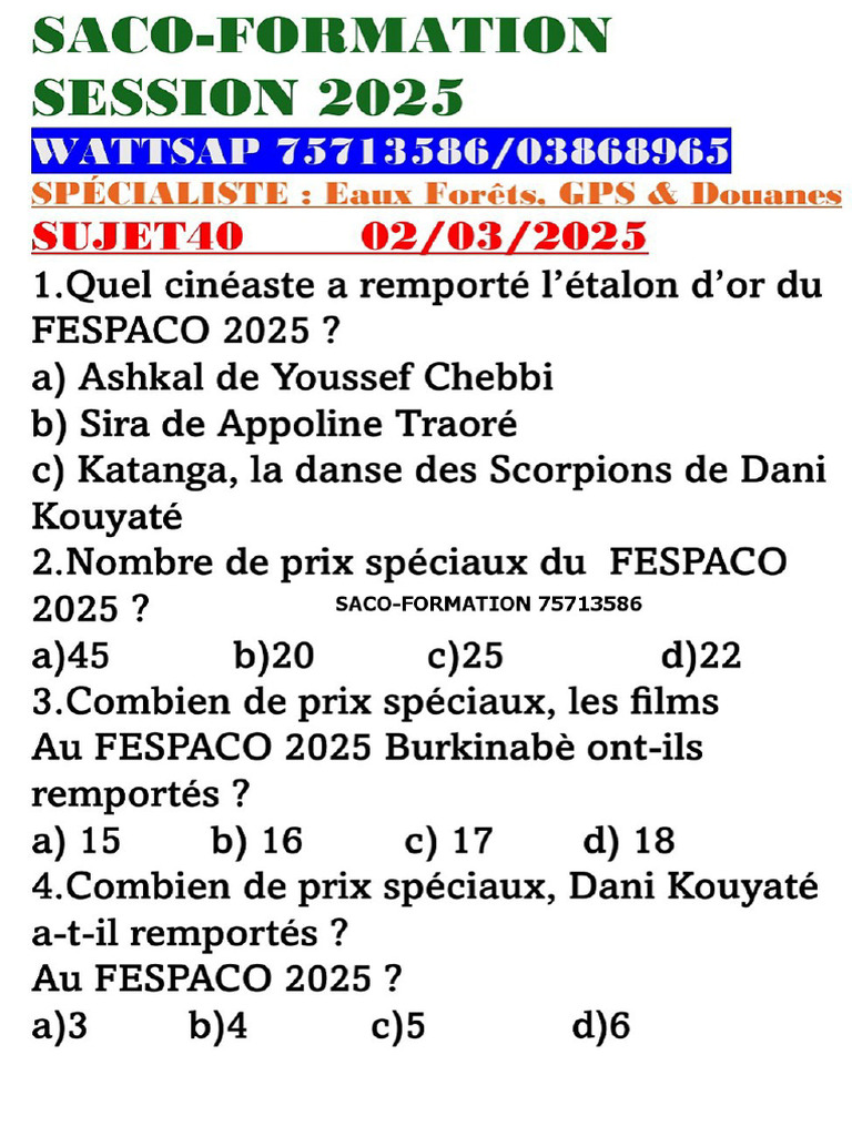 s40 Saco-Formation | PDF