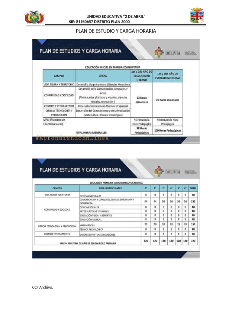 Pla de Estudio y Carga Horaria | PDF