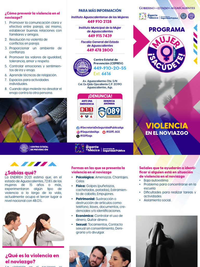 Prevención de la violencia en el noviazgo | PDF | Violencia | Ira