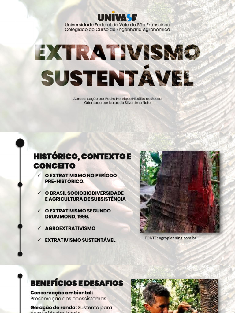 Extrativismo e Agroextrativismo no Brasil | PDF