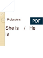 Professions: She Is / He Is