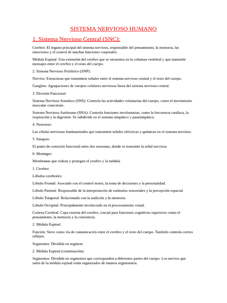 Estructura y Funciones del Sistema Nervioso | PDF | Cerebro | Sistema ...