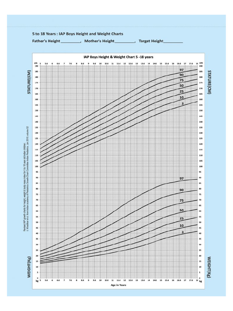 05 Boys Height and Weight | PDF