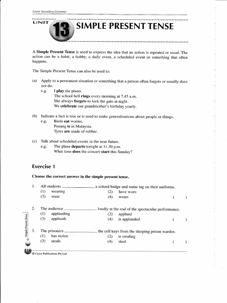 Simple Present and Past Tense Guide | PDF | Hong Kong