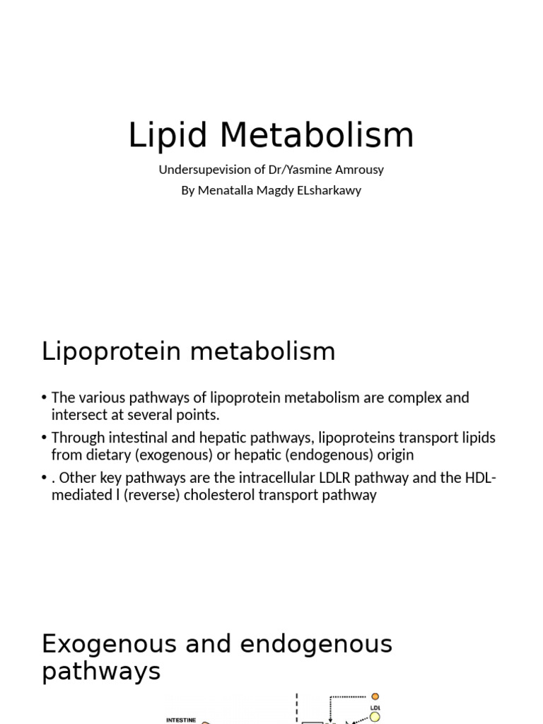 Lipid Metabolism | PDF | Lipoprotein | Cholesterol