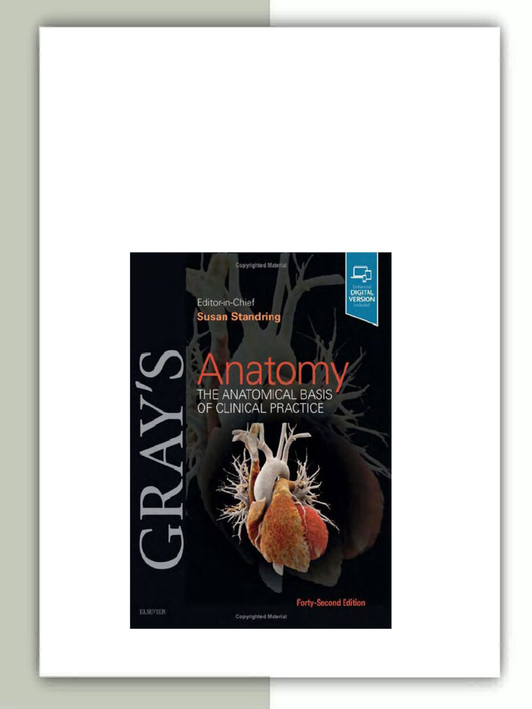 Gray's Anatomy: The Anatomical Basis of Clinical Practice