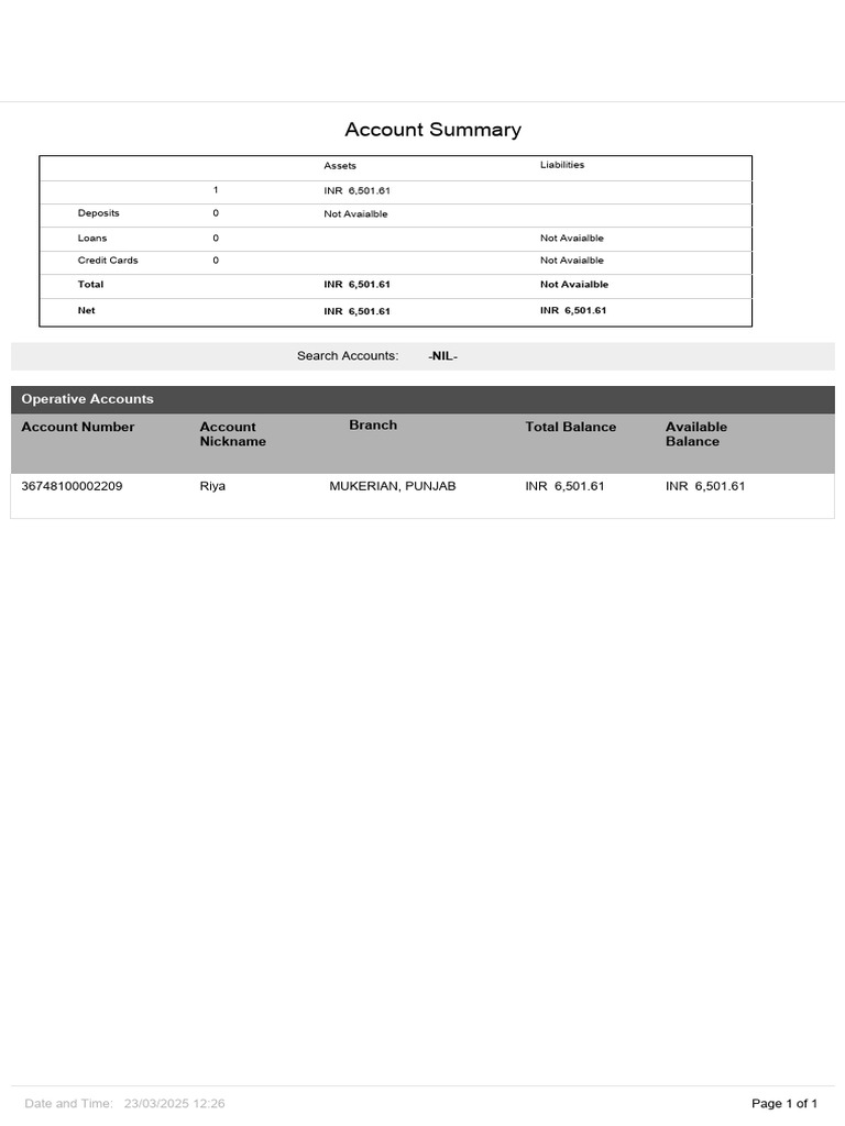 Account Summary For Riya March 2025 Pdf