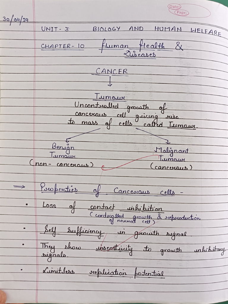Human Health | PDF