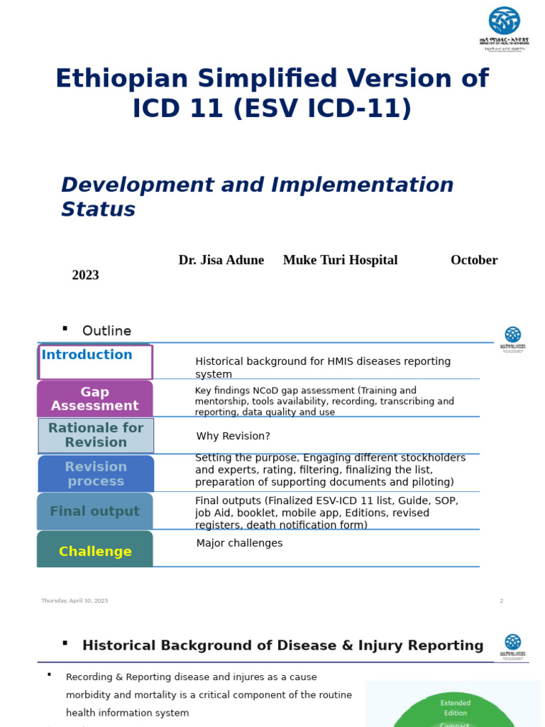 ESV ICD-11 Development Overview | PDF | Health Economics | Public Services