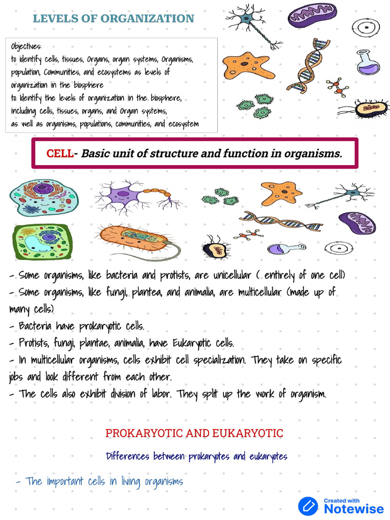 New Notes Chap 1 | PDF