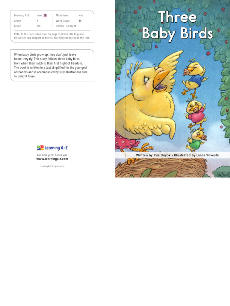 Three Baby Birds: A Beginner's Tale | PDF