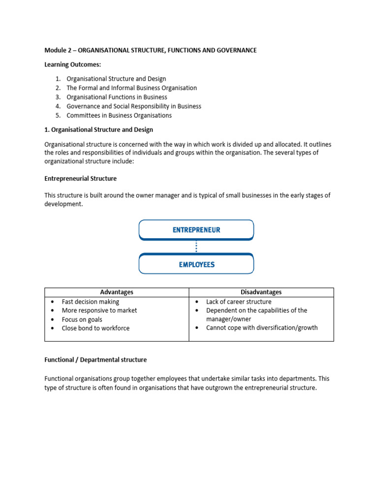 Org Structure, Functions & Governance Overview | PDF | Corporate ...