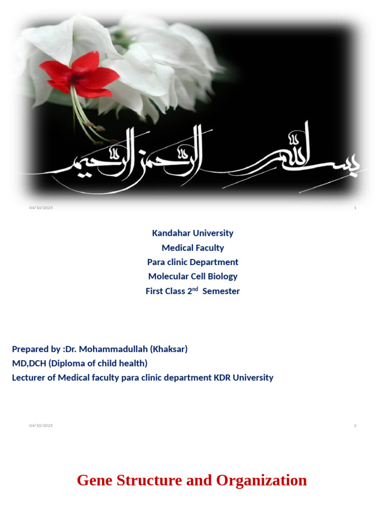 Gene Structure and Function Overview | PDF | Gene | Gene Expression