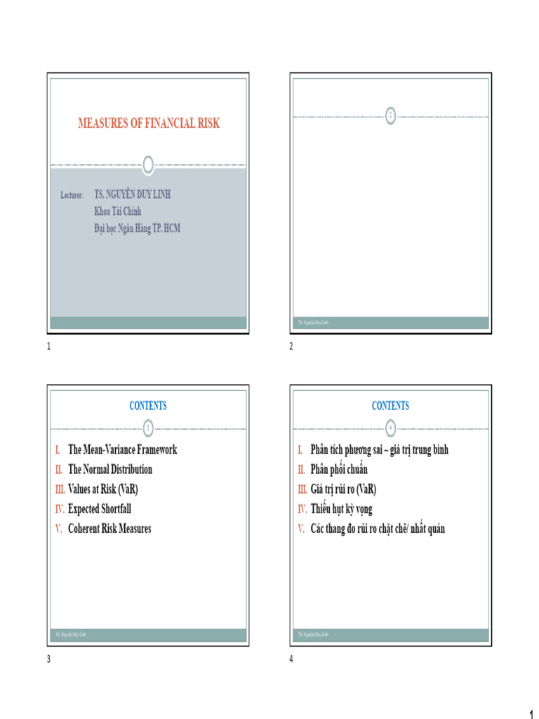 03-Measures of Financial Risk | PDF