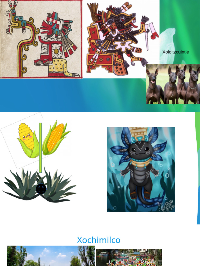 Nito | PDF